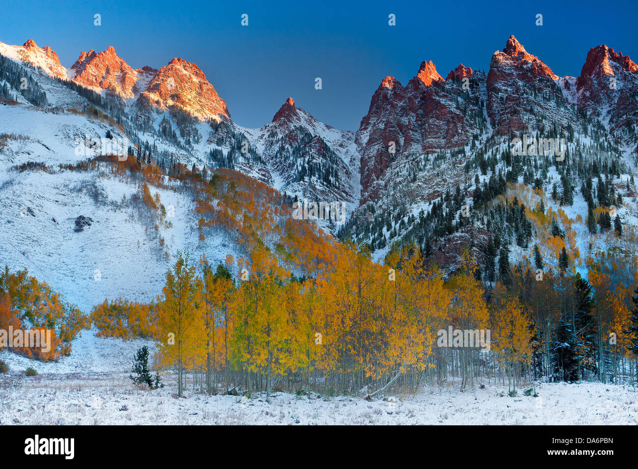 USA, United States, Amérique, Colorado, Automne, Automne, arbres, la couleur de l'automne, le tremble, neige, montagnes Banque D'Images