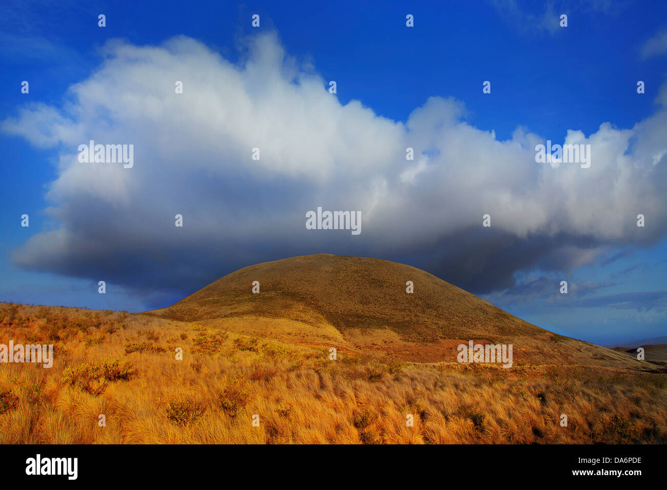 USA, United States, Amérique, New York, Big Island, cône de cendres, d'herbe, nuage, ciel, Pacifique sud, Hill, Banque D'Images