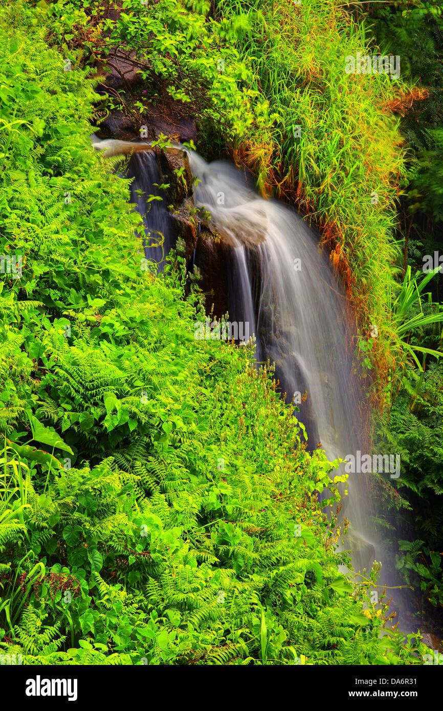 USA, United States, Amérique, New York, Big Island, Cascade, vert, nature Banque D'Images