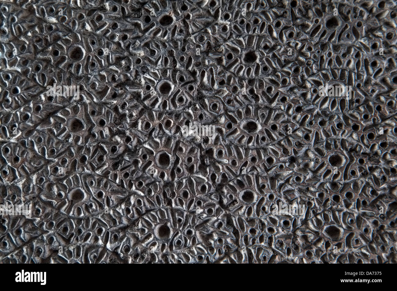 Appareil en bois ancienne pour le tissu et l'impression de timbres Banque D'Images