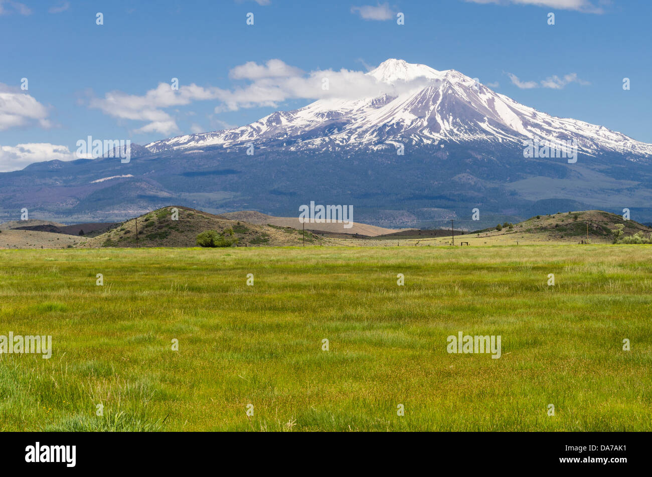 Montague California United States. Vue sur le Mont Shasta montrant les pâturages et praire Banque D'Images