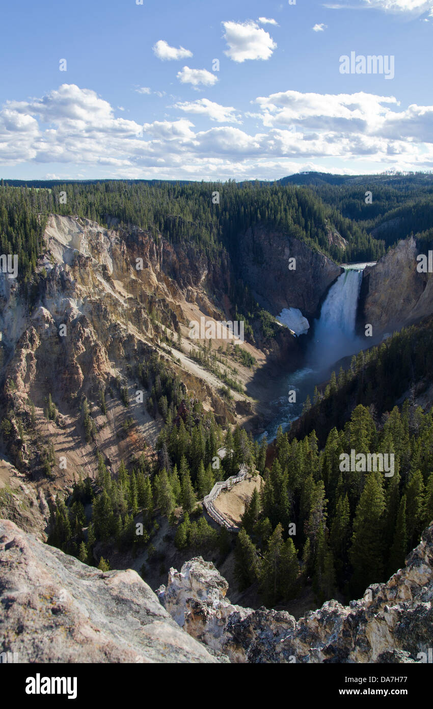 Lower Falls, parc national de Yellowstone Banque D'Images