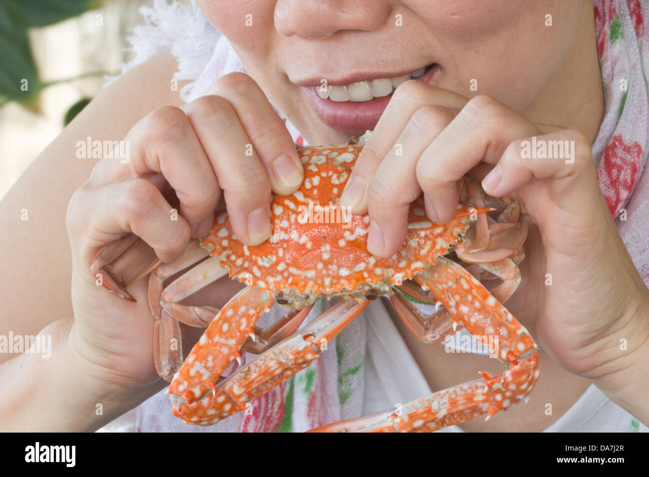 Jeune femme de manger un délicieux crabes cuits à la vapeur Banque D'Images