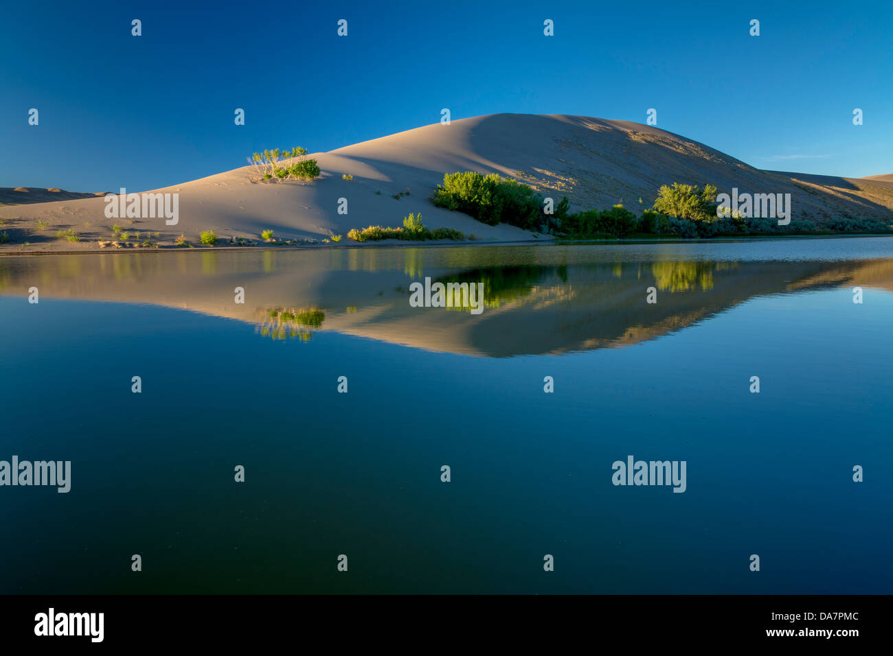 Le lac du désert de dunes de sable et Banque D'Images