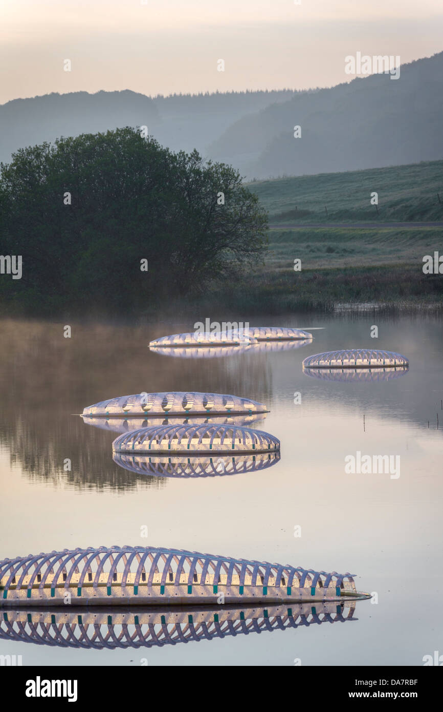 Le Land Art travail appelées diatomées, Mégascospic effectuée par Prisca Cosnier. Un projet dans les Horizons 'nature' Arts 2013 framework Banque D'Images