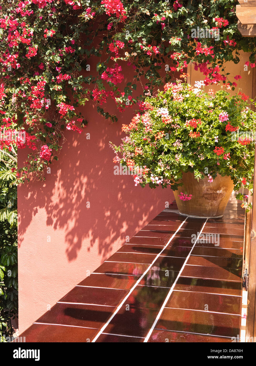 Jardin espagnol à Tenerife Banque D'Images