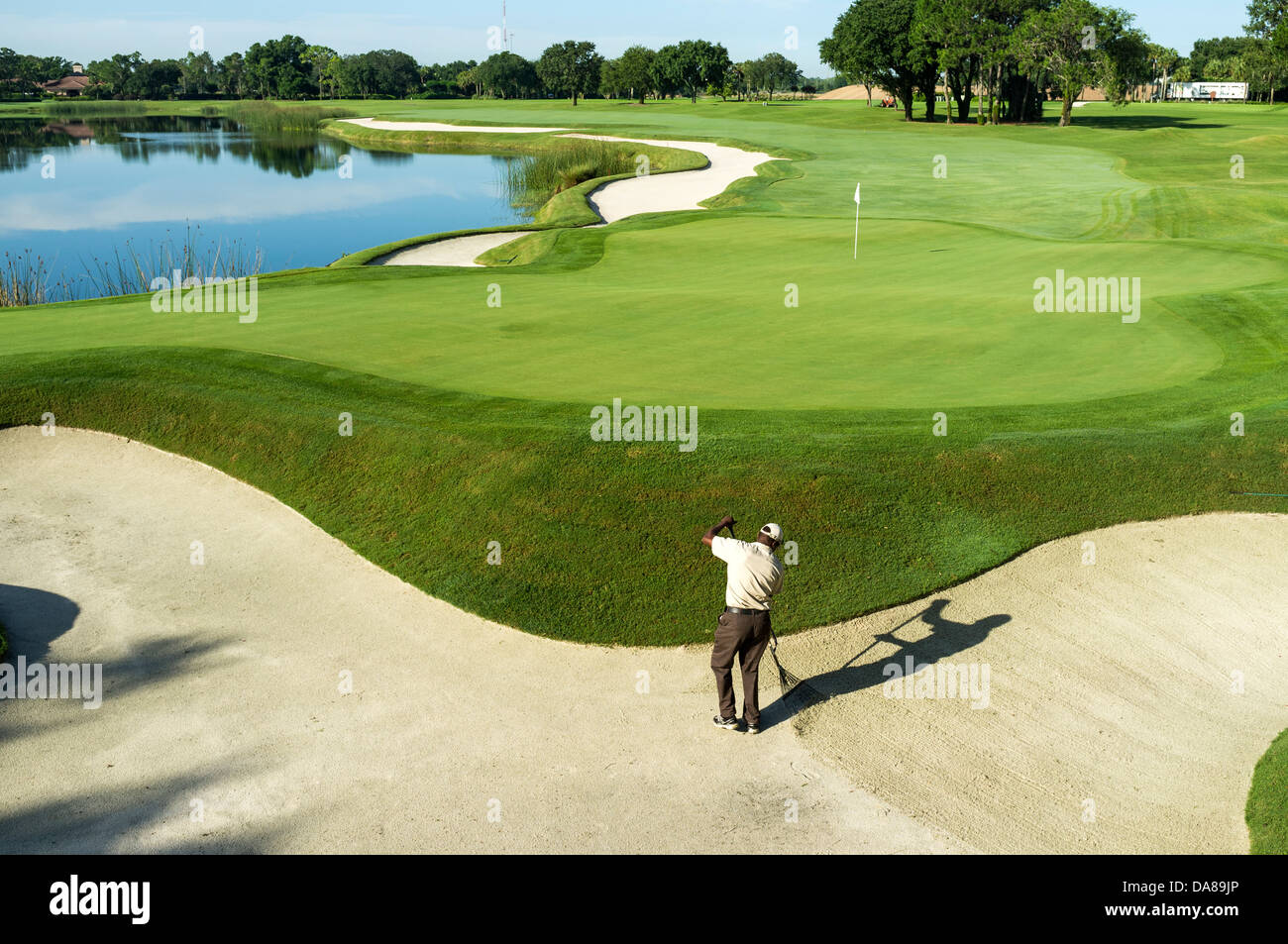 Green keeper à Grand Cypress Golf Club, Orlando, Florida, USA, ratisser les bunkers tôt le matin avant que le golf s'ouvre. Banque D'Images