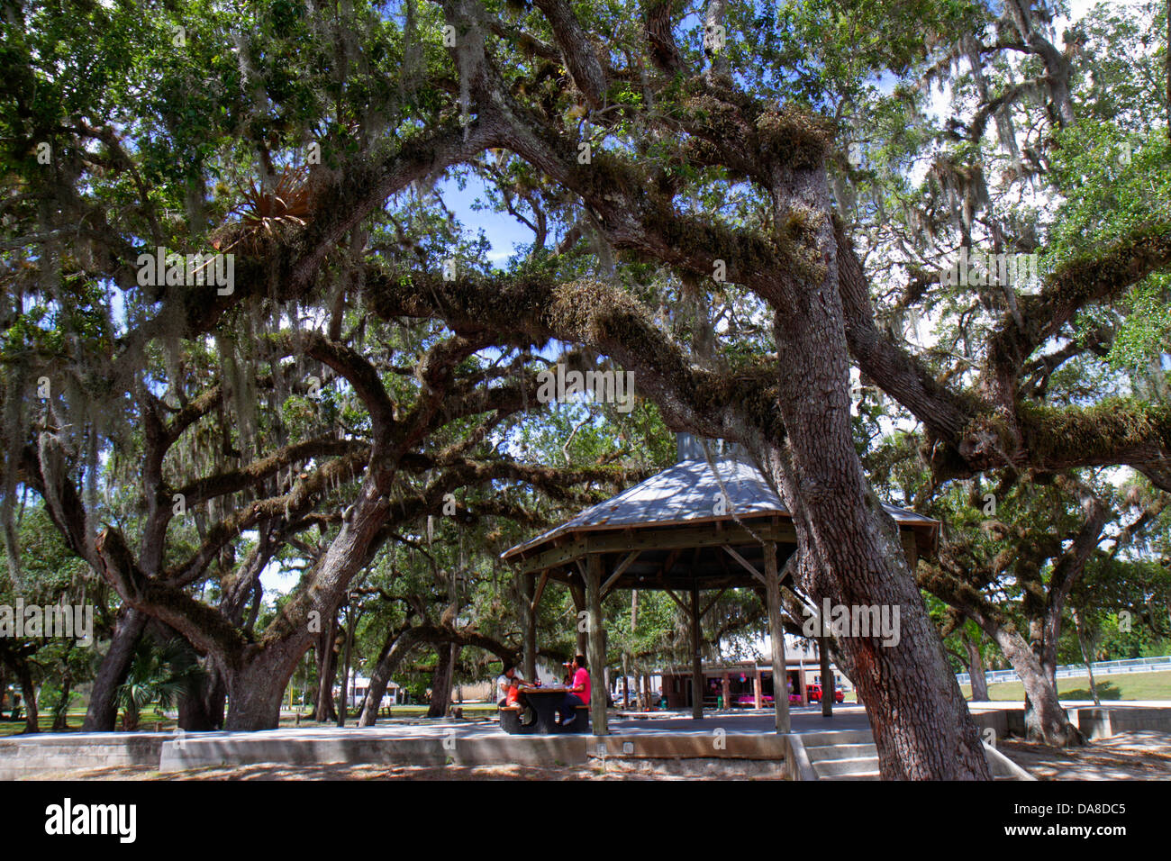 Florida LaBelle, Barron Park, arbres de chêne vivants, mousse espagnole, les visiteurs voyage visite touristique touristique sites touristiques culture culturelle, vacances gr Banque D'Images