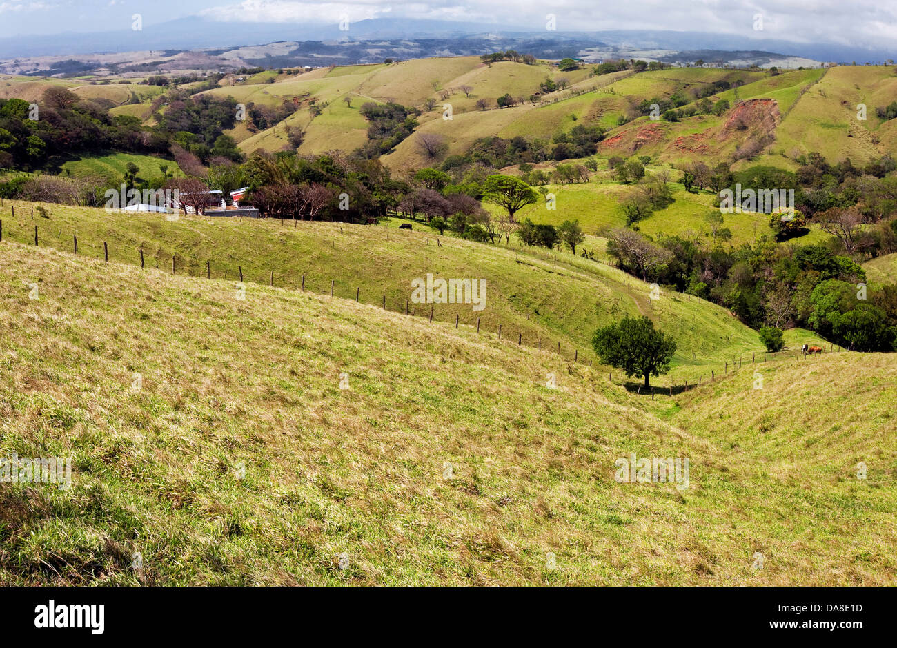 Scenic Campagne du Costa Rica Banque D'Images