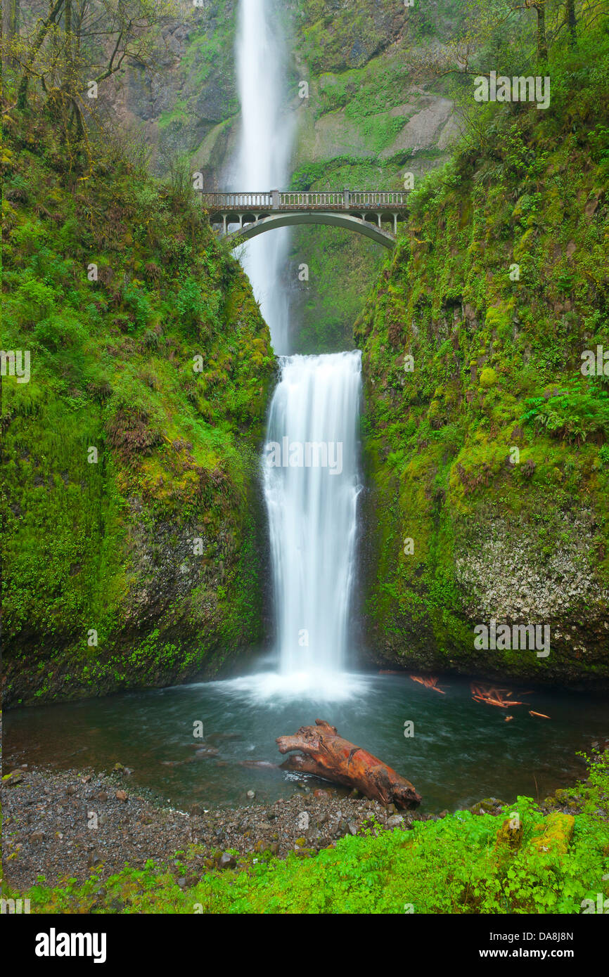 USA, United States, Amérique du Nord, l'Oregon, chutes de Multnomah falls, une chute d'eau, cascades,, de l'eau, ruisseau, rivière, chute, Colombie-Britannique Rive Banque D'Images