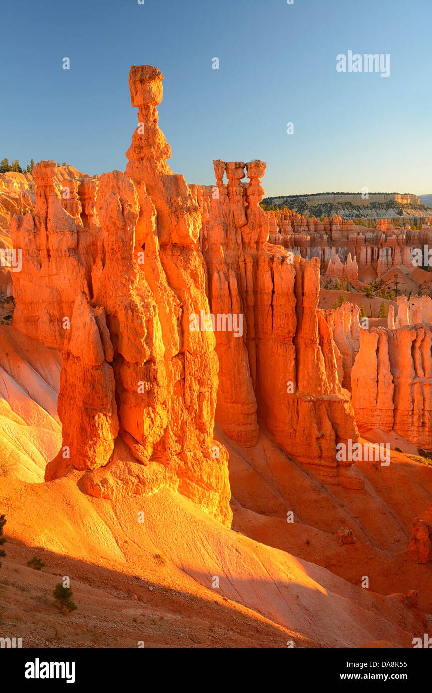 USA, United States, Amérique du Nord, l'Utah, Canyon, Amérique du Nord, les quatre coins, Colorado, Plateau, Bryce Canyon, Parc National, sandston Banque D'Images