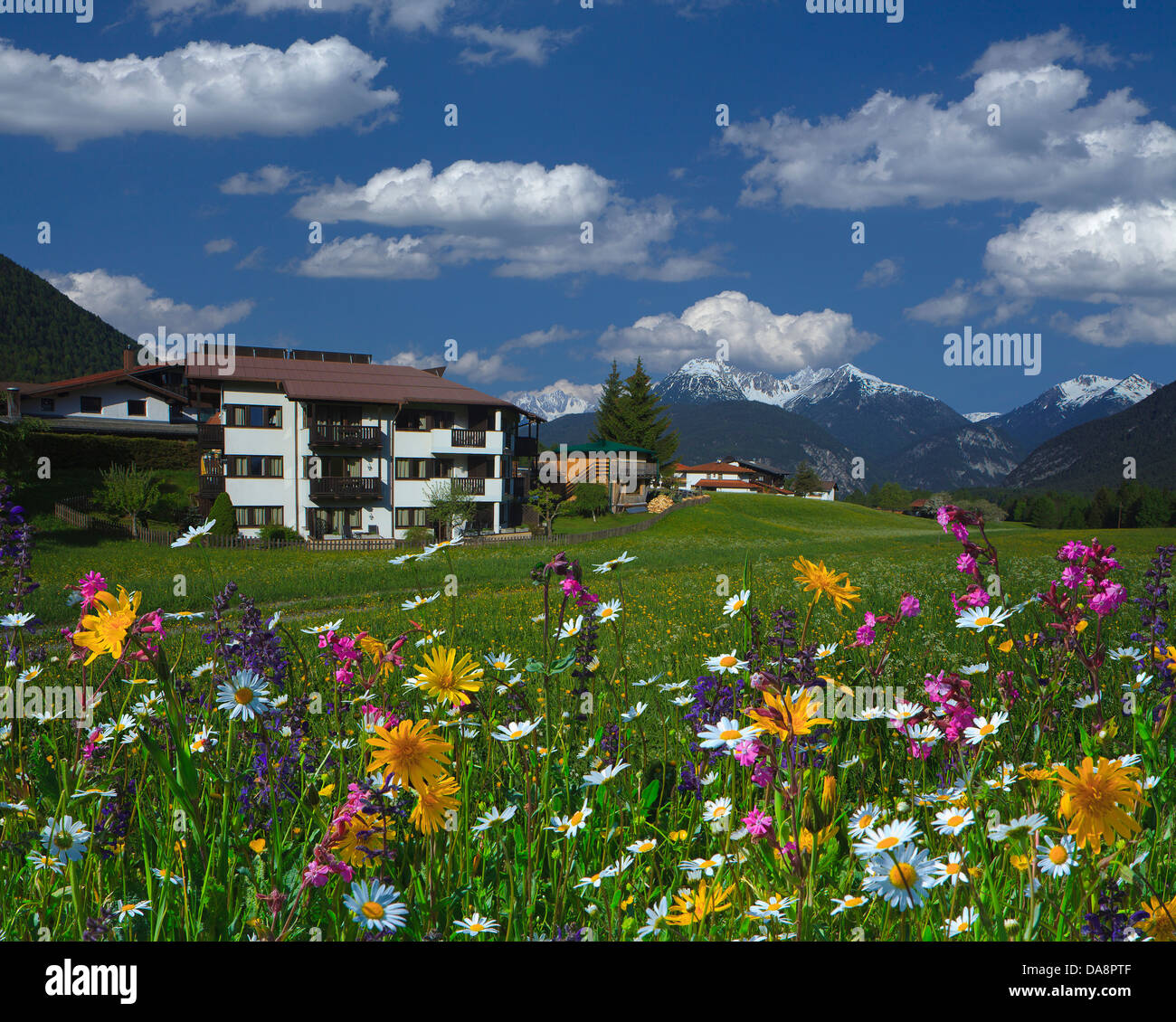 L'Autriche, Europe, Tyrol, Mieminger plateau, Obsteig, Holzleiten, hôtel, maisons, maisons, arbres et fleurs, flower meadow, printemps, sk Banque D'Images