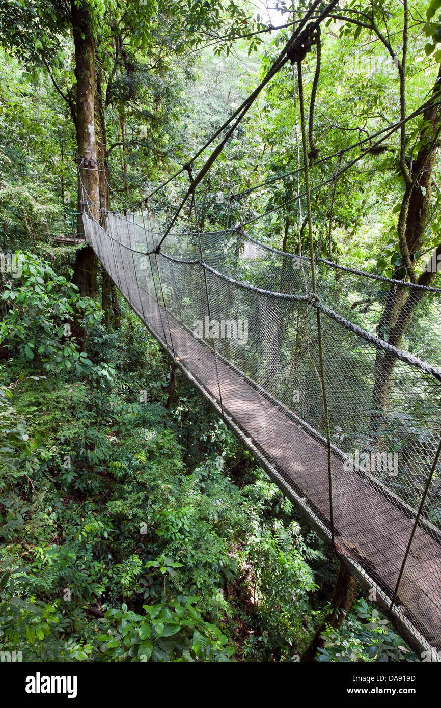 Pont suspendu, Rainmaker Conservation Project, Costa Rica Banque D'Images