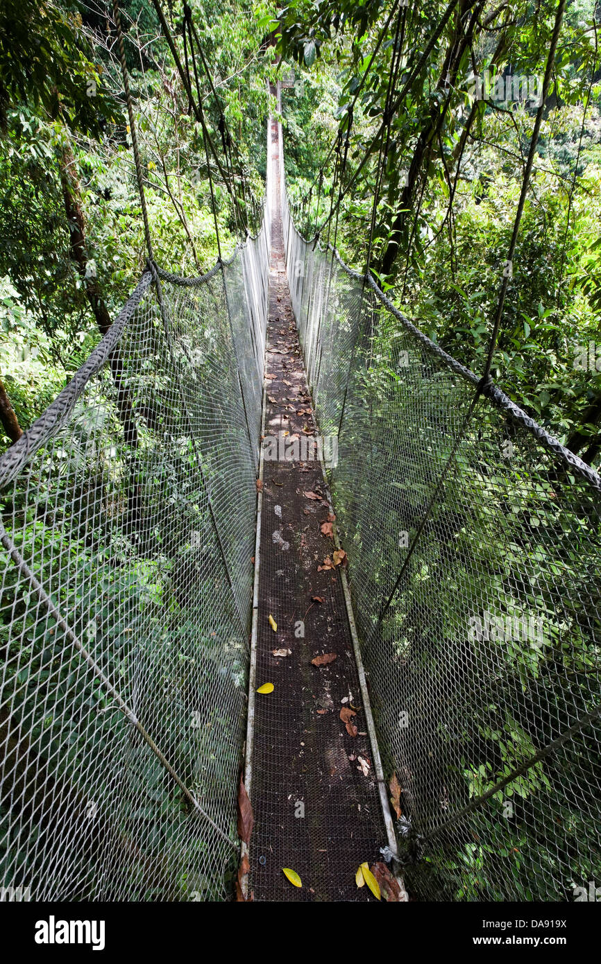 Pont suspendu, Rainmaker Conservation Project, Costa Rica Banque D'Images