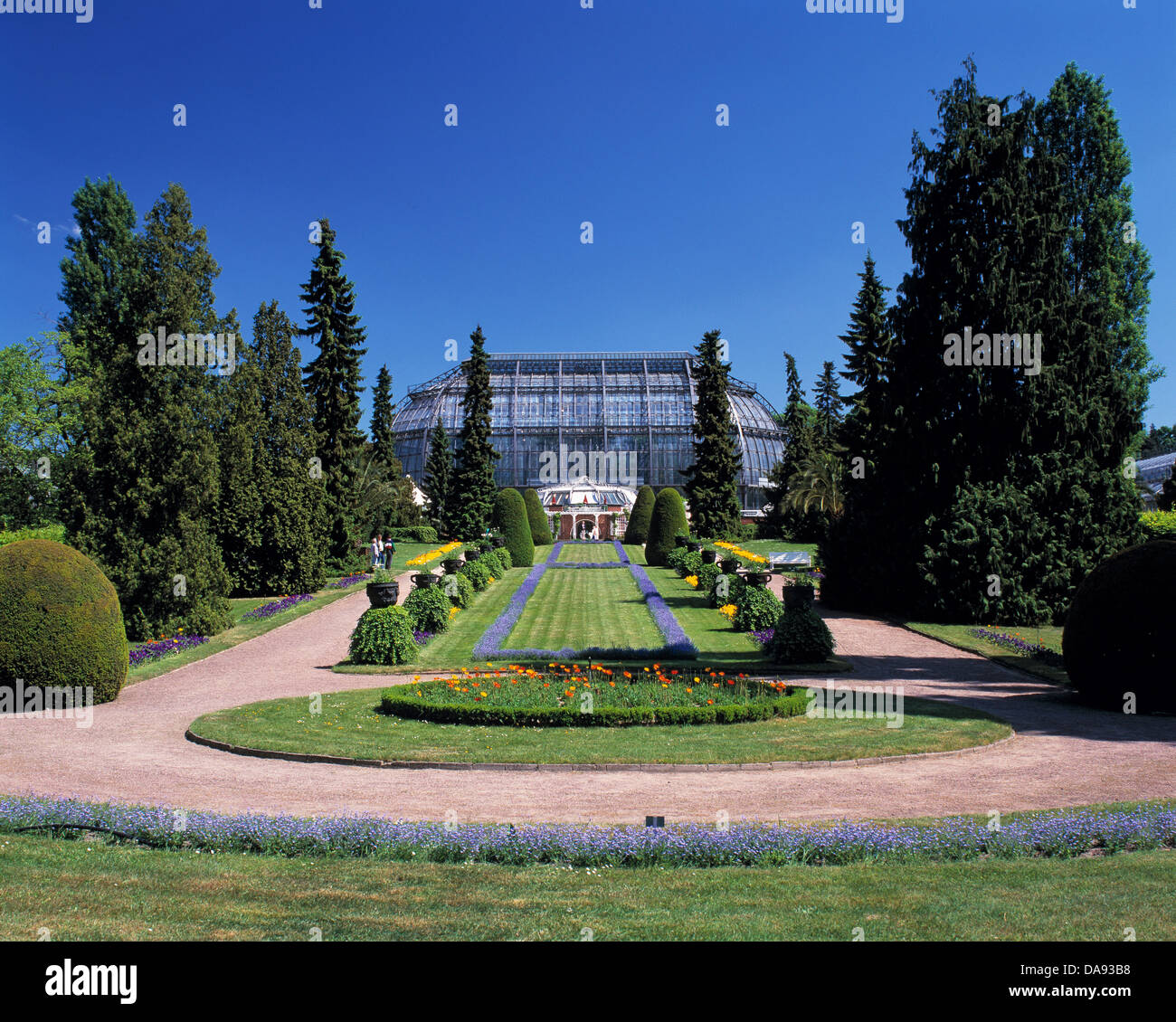 Allemagne, Europe, Berlin, Allemagne, l'Europe, à Berlin-champ lumineux, jardin botanique, musée et jardins botaniques, Berlin-Dahlem, univers Banque D'Images