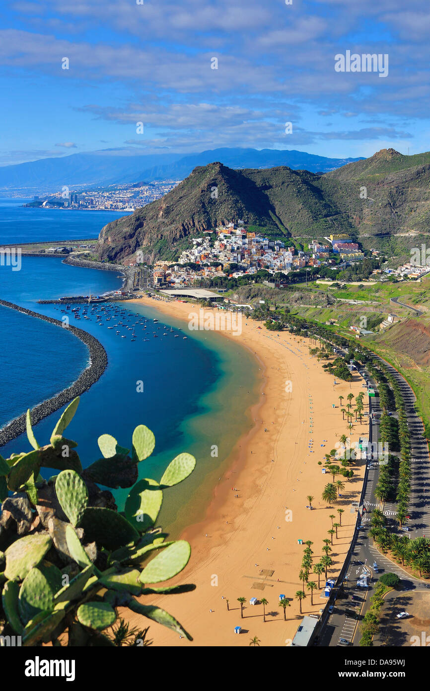 L'Espagne, Europe, Îles Canaries, Las Teresitas, plage, San Andres, l'île de Tenerife, Tenerife, Teneriffa, beach, blue, cactus, famo Banque D'Images