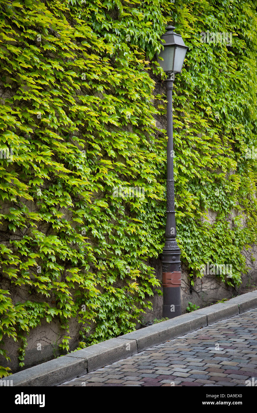 Lampadaire contre un mur couvert de lierre à Montmartre, Paris France Banque D'Images