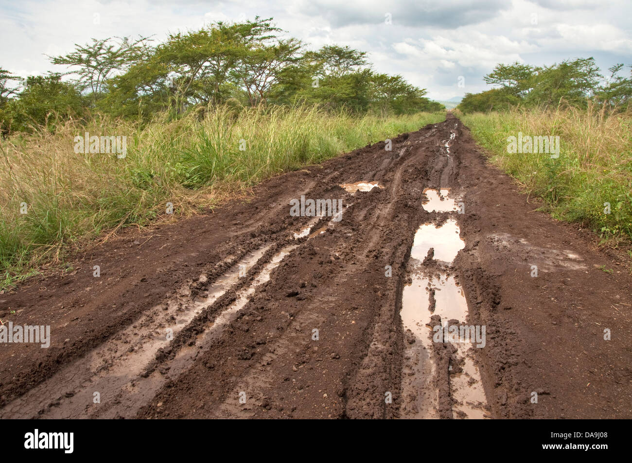 Piste boueuse dans la savane, en Éthiopie Banque D'Images