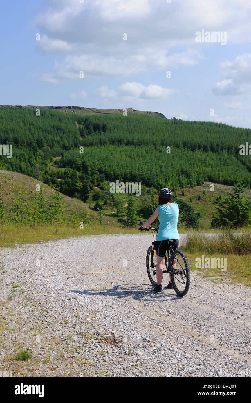 Dame vélo de montagne s'arrête pour apprécier la vue à Gisburn Forest. Banque D'Images