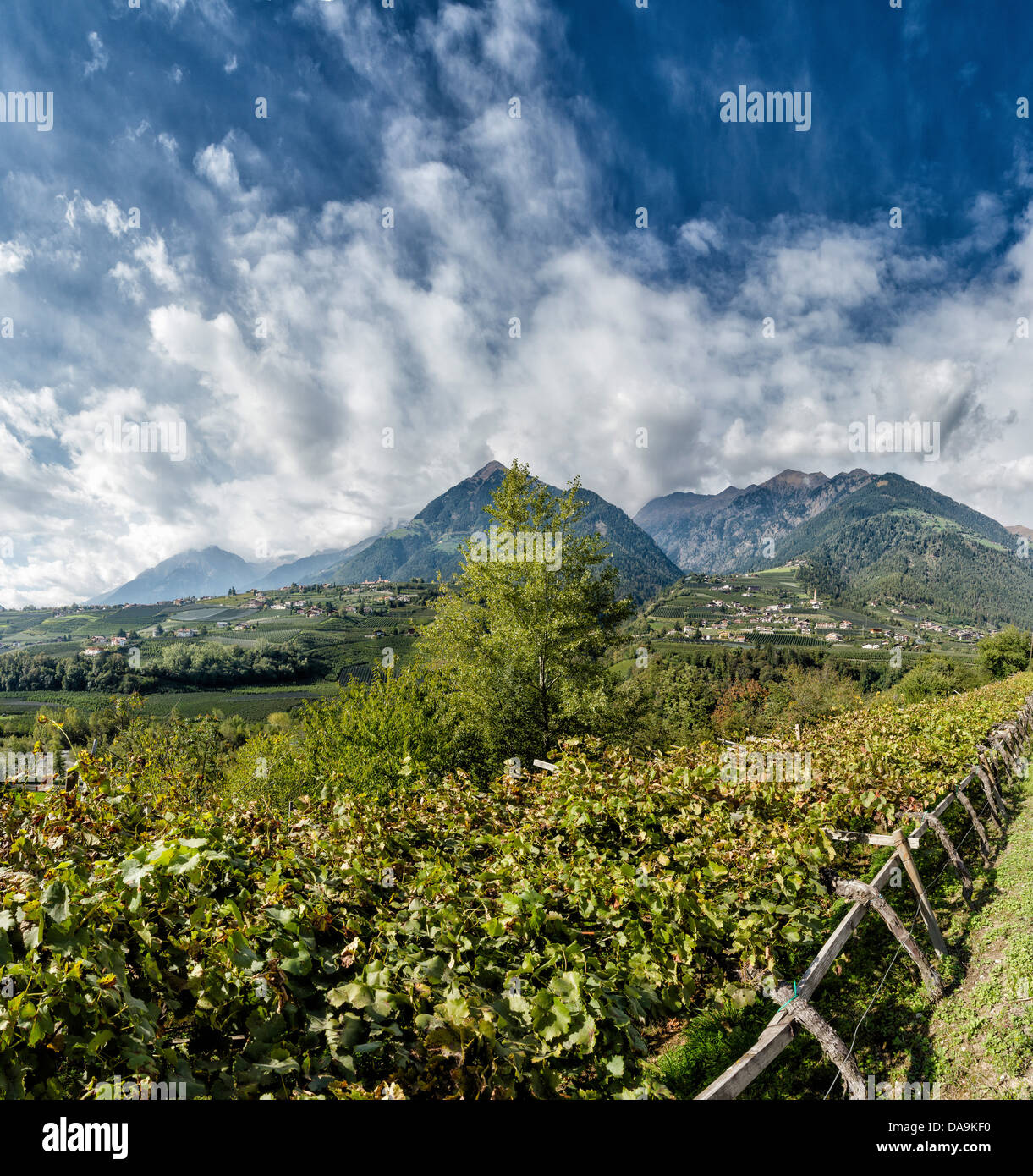 L'Italie, l'Europe, Südtirol, Tyrol du Sud, Haut Adige, Alto Adige, Schenna, Scena, vallée, passer, passer la rivière, Texel, paysage, un Banque D'Images