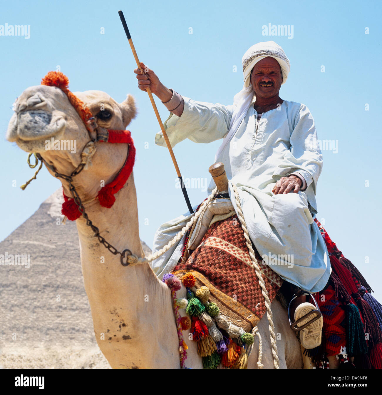 L'homme monté sur un chameau bédouin Gizeh Egypte Banque D'Images