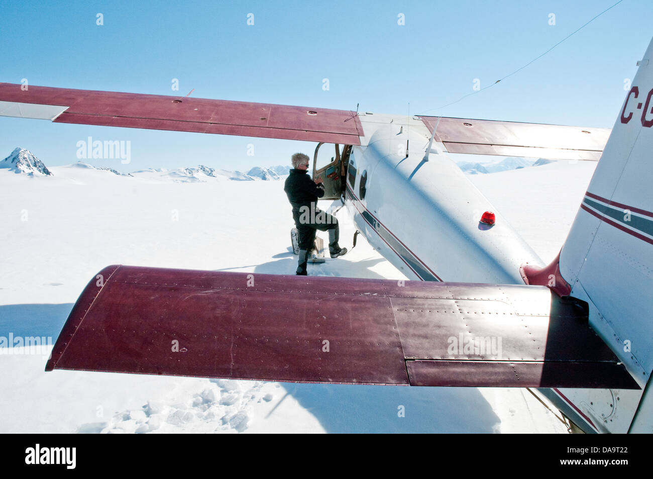 Un pilote des glaciers entre dans son Helio Courier prop avion près de la base du mont Logan dans les monts St-Elias, Yukon, Canada. Banque D'Images