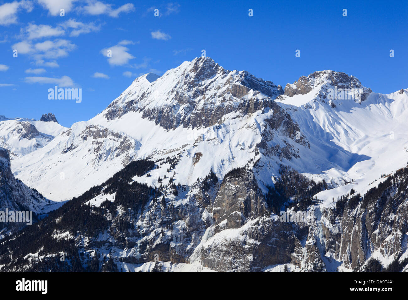 Alpin, Alpes, panorama, vue, montagne, montagnes, massif, Berne, Oberland Bernois, Alpes Bernoises, arbres, de glace, de roche, de l'épinette, spruc Banque D'Images