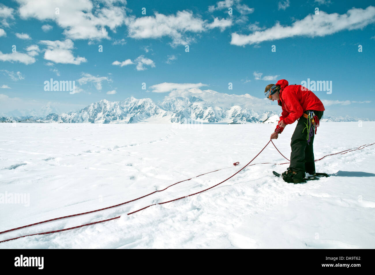 L'alpiniste se prépare à corde jusqu'au mont Logan en arrière-plan, dans les monts St-Elias, Territoire du Yukon, Canada. Banque D'Images