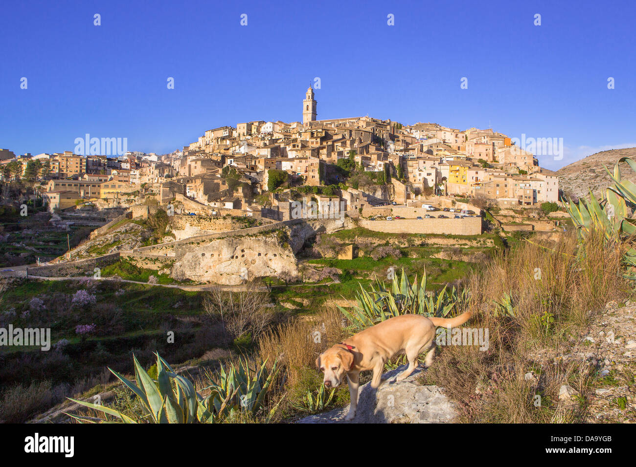 L'Espagne, l'Europe, Valence, l'architecture, beffroi, bocairente, ville, l'histoire, médiévale, vieux, pueblo, Skyline, touristique, voyage, Banque D'Images