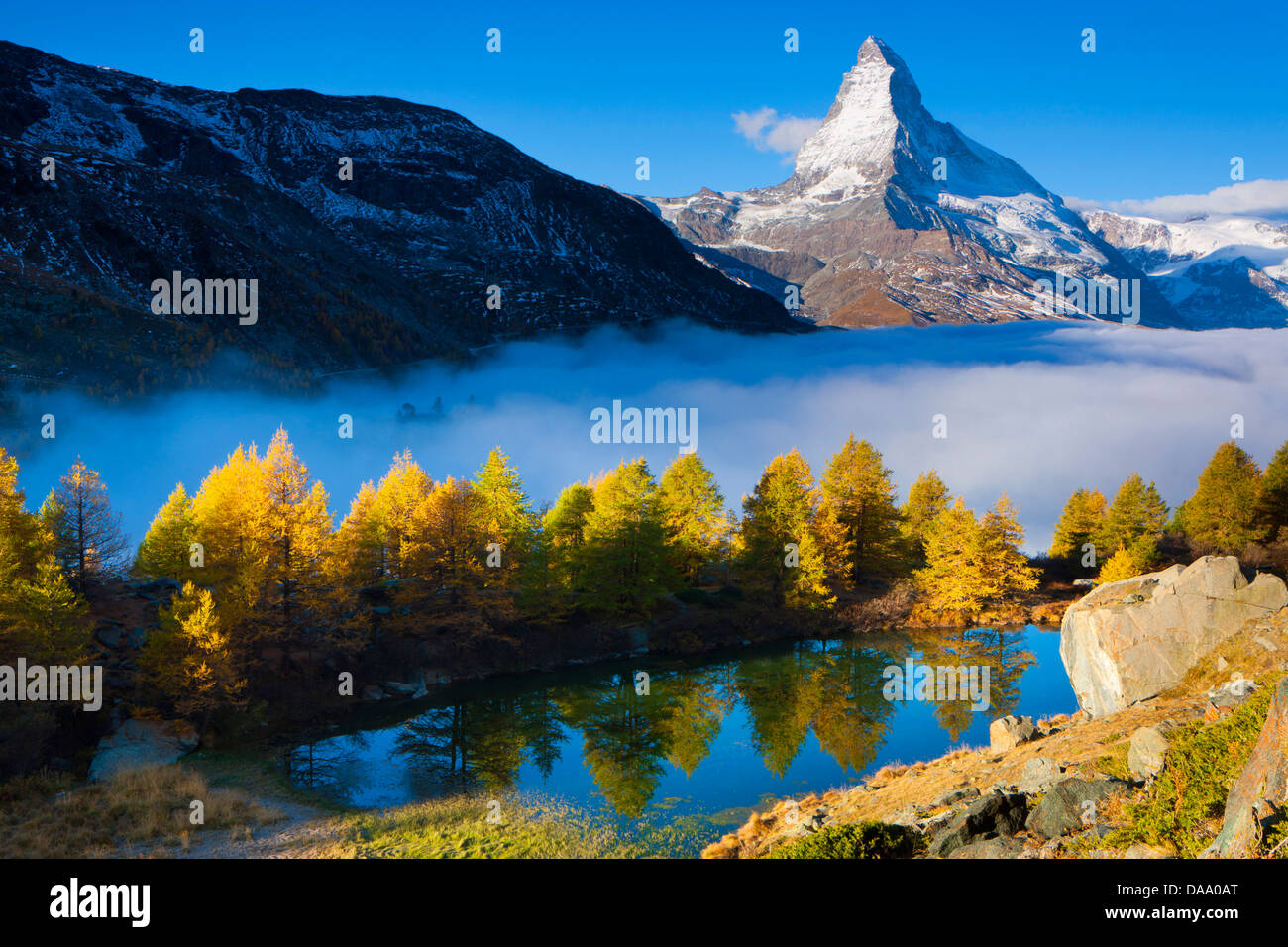 Grindji, lac, Suisse, Europe, canton, le Valais, Mattertal, lac de montagne, randonnée, Matterhorn, automne, brouillard, de mélèzes, d'arbres, Banque D'Images