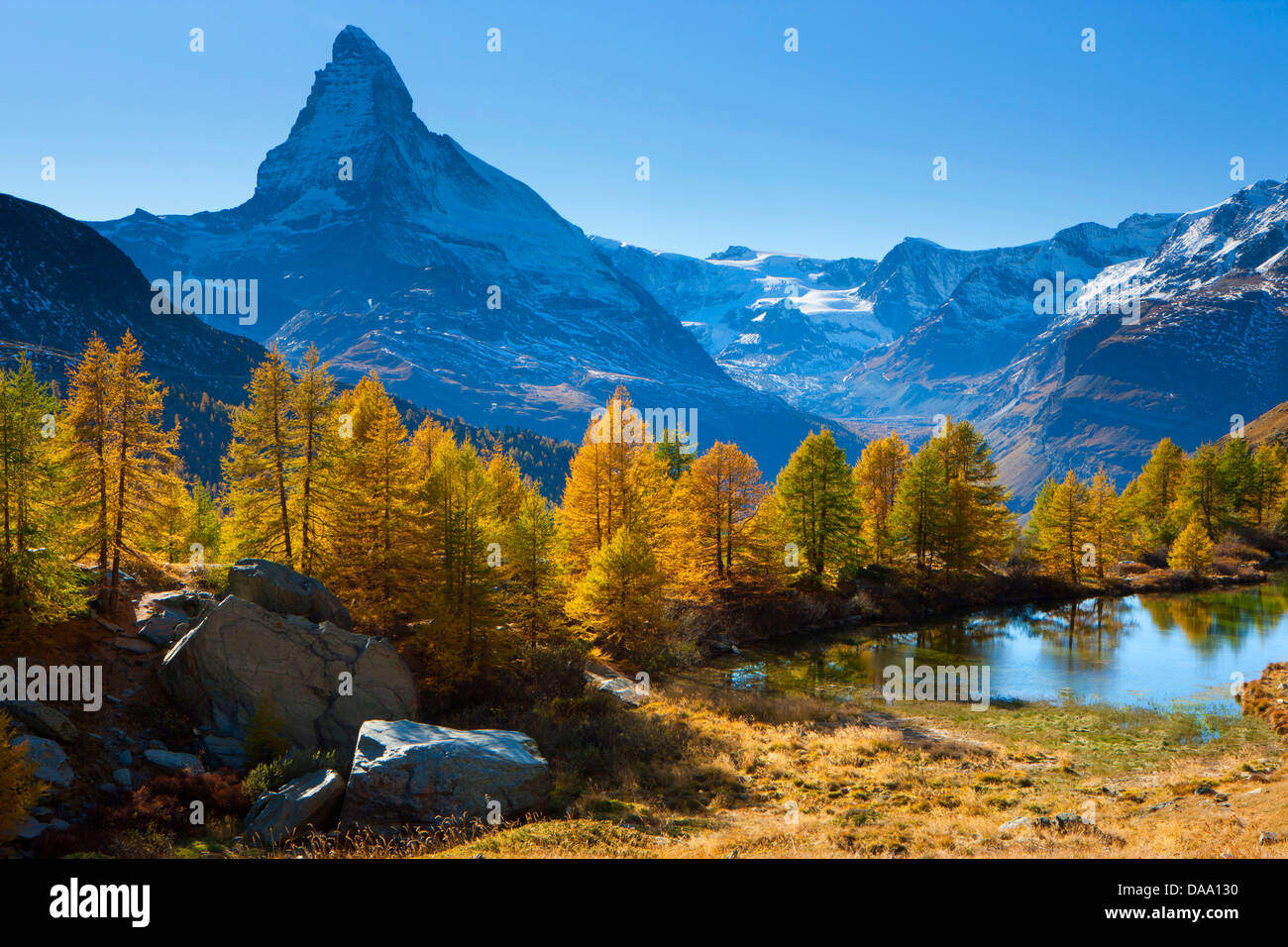 Cervin, Suisse, Europe, canton, le Valais, Mattertal, montagne, lac de montagne, Grindji, lac, réflexion, automne, arbres, l Banque D'Images