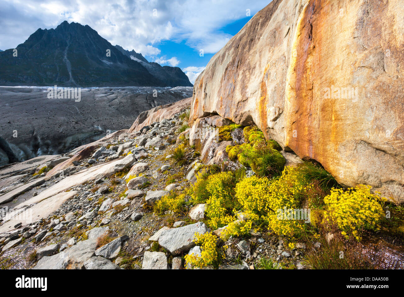 Glacier d'Aletsch, en Suisse, en Europe, dans le canton, le Valais, l'UNESCO, patrimoine mondial de la nature, nature, montagne, glacier, falaise, rock, Banque D'Images