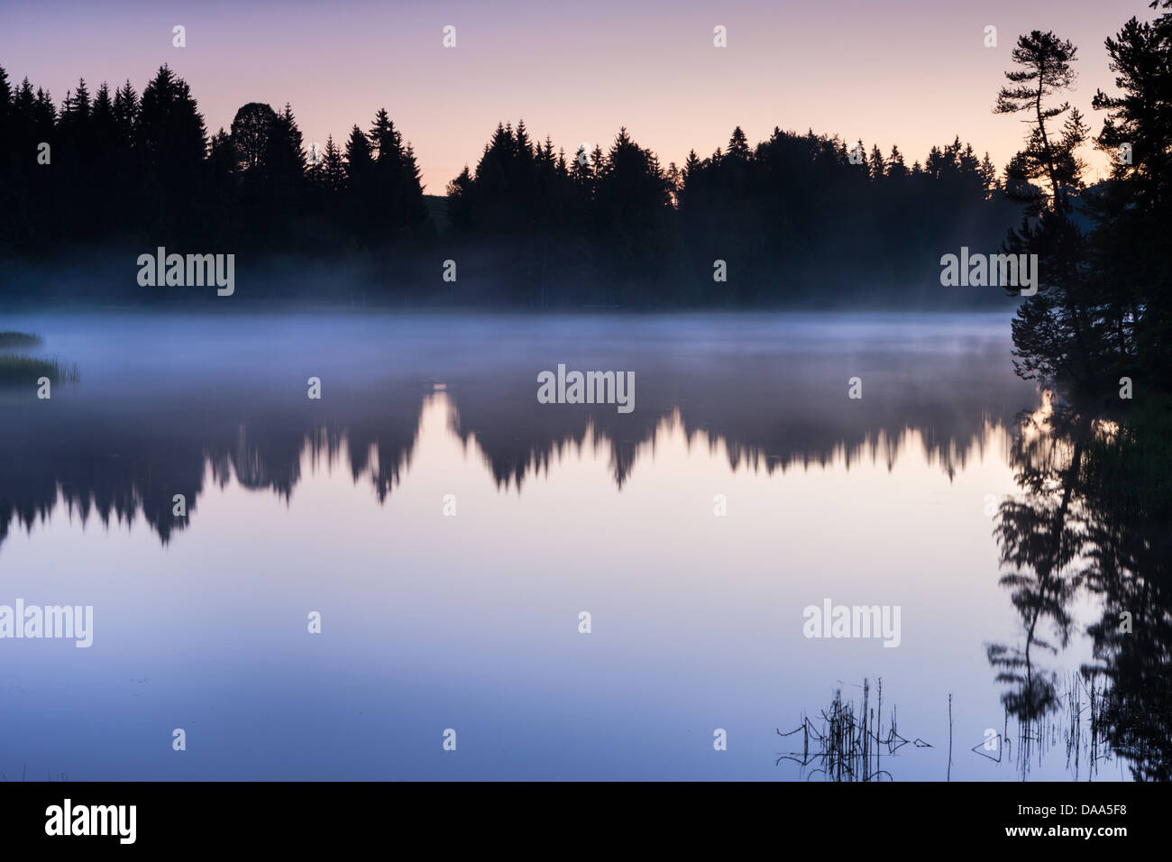 Etang de la Gruère, Suisse, Europe, canton, Jura, nature, nature, le Doubs, réserve naturelle, le lac, le lac de tourbe, matin m Banque D'Images