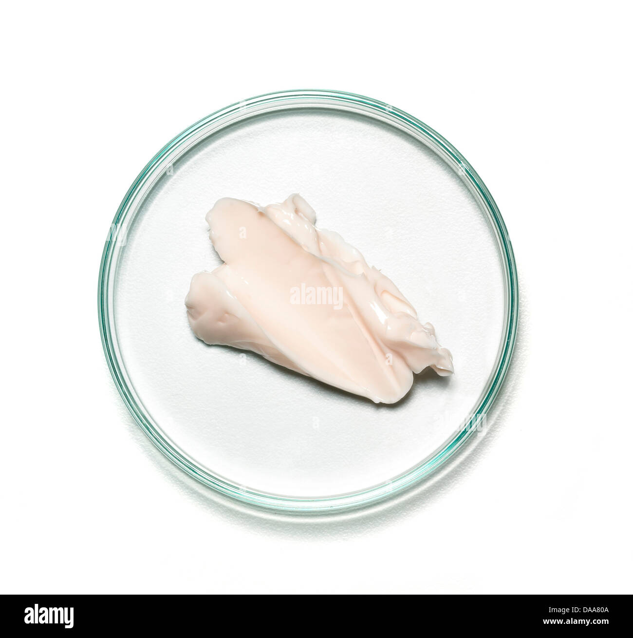 Beige crème corps rose sur une boîte de Petri cut sur un fond blanc Banque D'Images