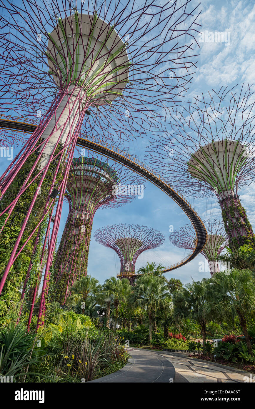 Supertree Grove au Gardens by the Bay, Singapour Banque D'Images