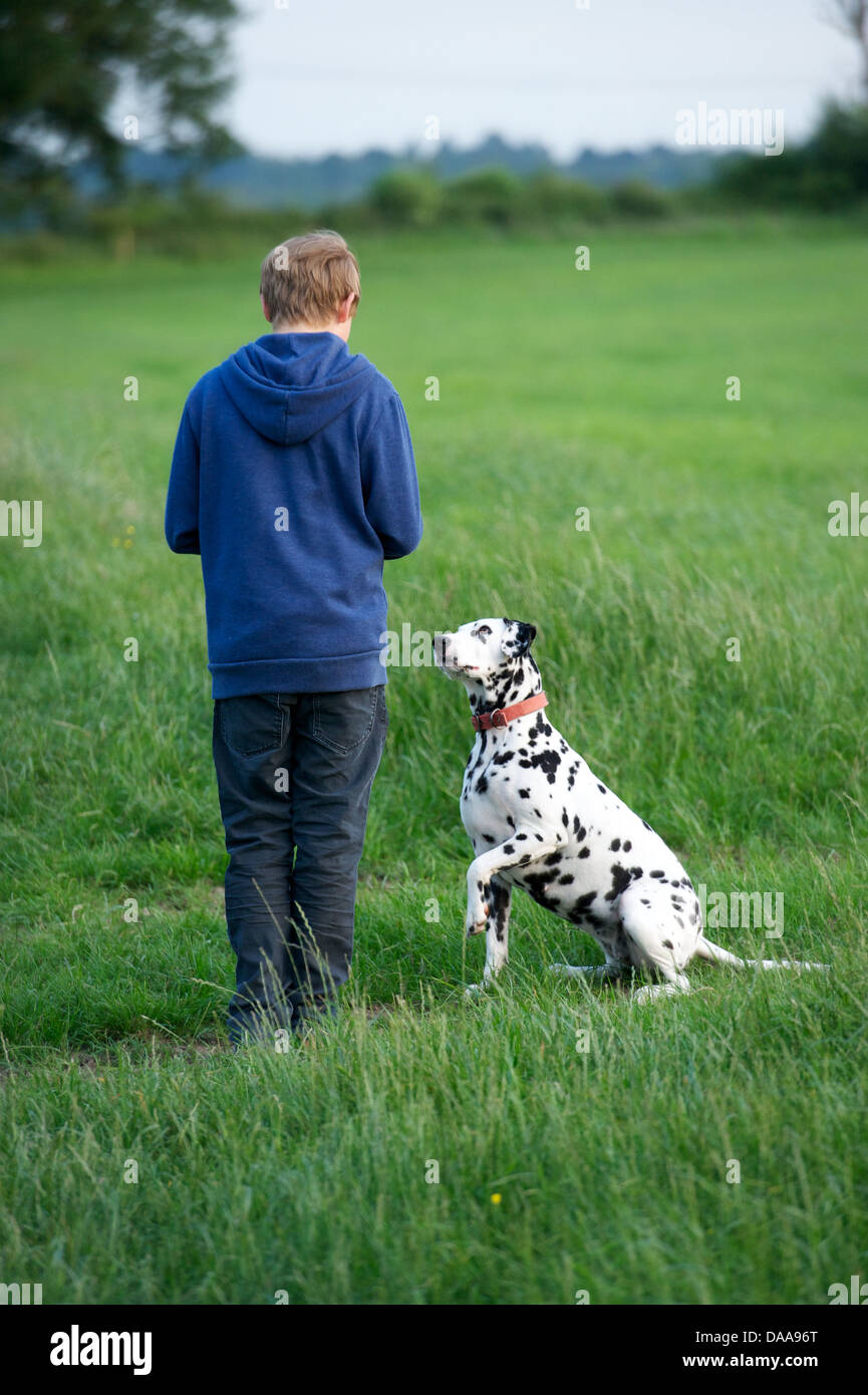 Un jeune garçon avec son animal chien Dalmatien. Banque D'Images