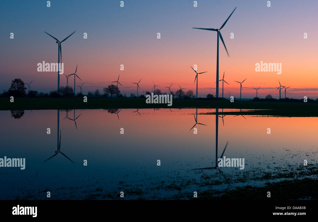 La lumière du soir se reflète dans une surface de l'eau dans un champ de vent dans les moteurs en Jacobsdorf Brandenburg, Allemagne, 17 janvier, 2011. En raison de la fonte de la neige de nombreux champs sont en ce moment inunandated. Photo : Patrick Pleul Banque D'Images