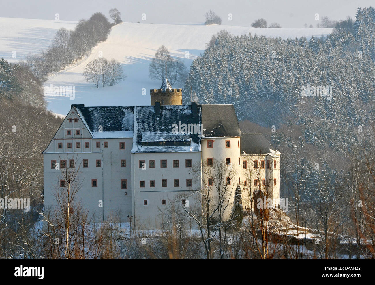 La forst est recouverte de neige autour du château de Scharfenstein Scharfenstein, Allemagne, 28 janvier 2011. Photo : Hendrik Schmidt Banque D'Images