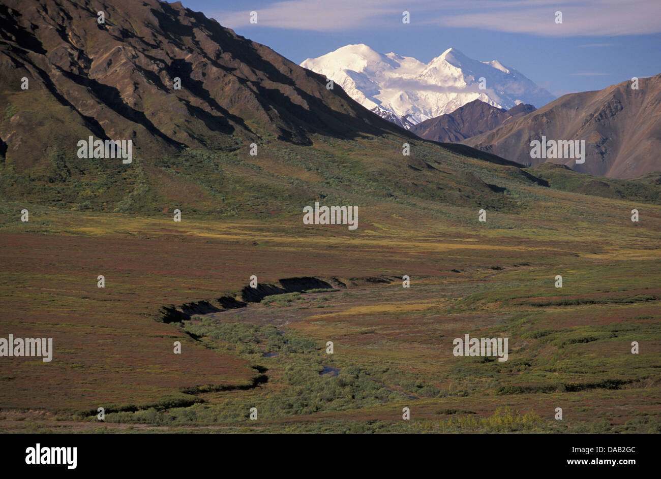 Le mont McKinley, Denali, Denali, Parc National, préserver, Alaska, USA, rivière, ruisseau, ruisseau, champ, avions, ouvert, montagnes, pied Banque D'Images
