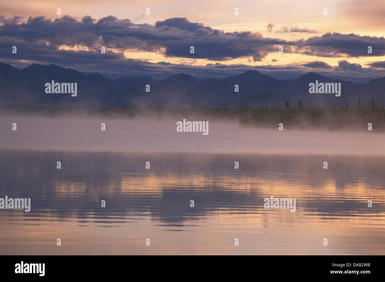 Morning Mist, près de Hains Junction, Yukon, Canada, lac, brume, brouillard, vapeur, nuages, rivière, arbres, montagnes, des rêves Banque D'Images