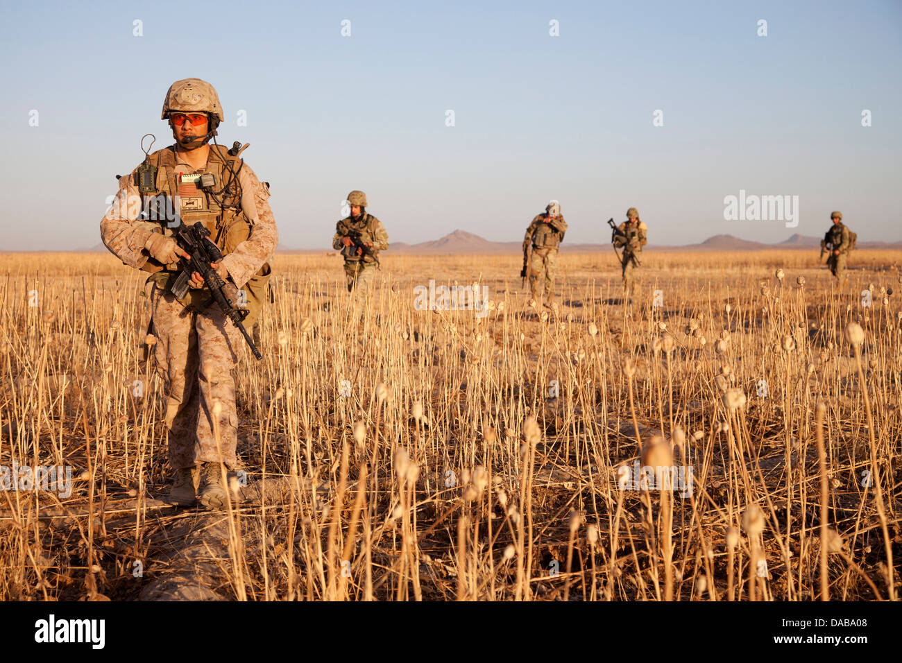 Un Marine américain effectue une patrouille à pied avec des soldats géorgiens affecté à la 33e Bataillon d'infanterie légère lors de l'opération Northern Lion II le 3 juillet 2013 dans la province d'Helmand, en Afghanistan. Banque D'Images