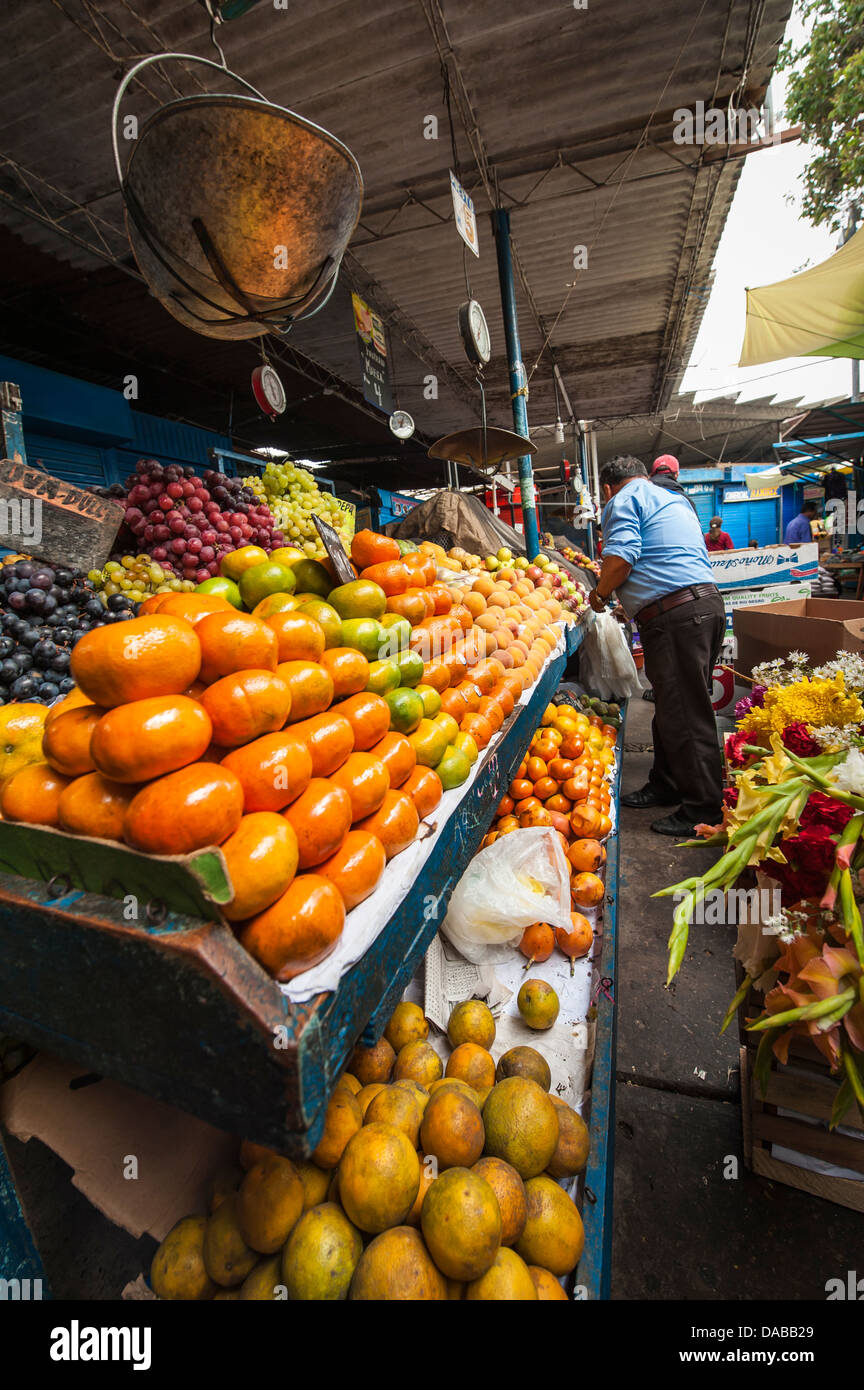 Fruits Légumes Légumes verts produce stand stand shop shopping dans le marché local du marché central à Chiclayo, Pérou. Banque D'Images