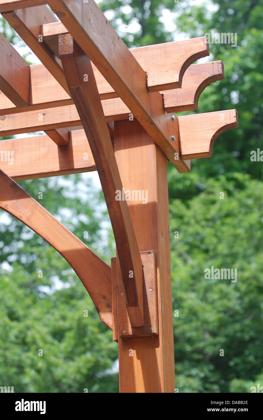 Close-up d'une pergola de jardin en bois Banque D'Images