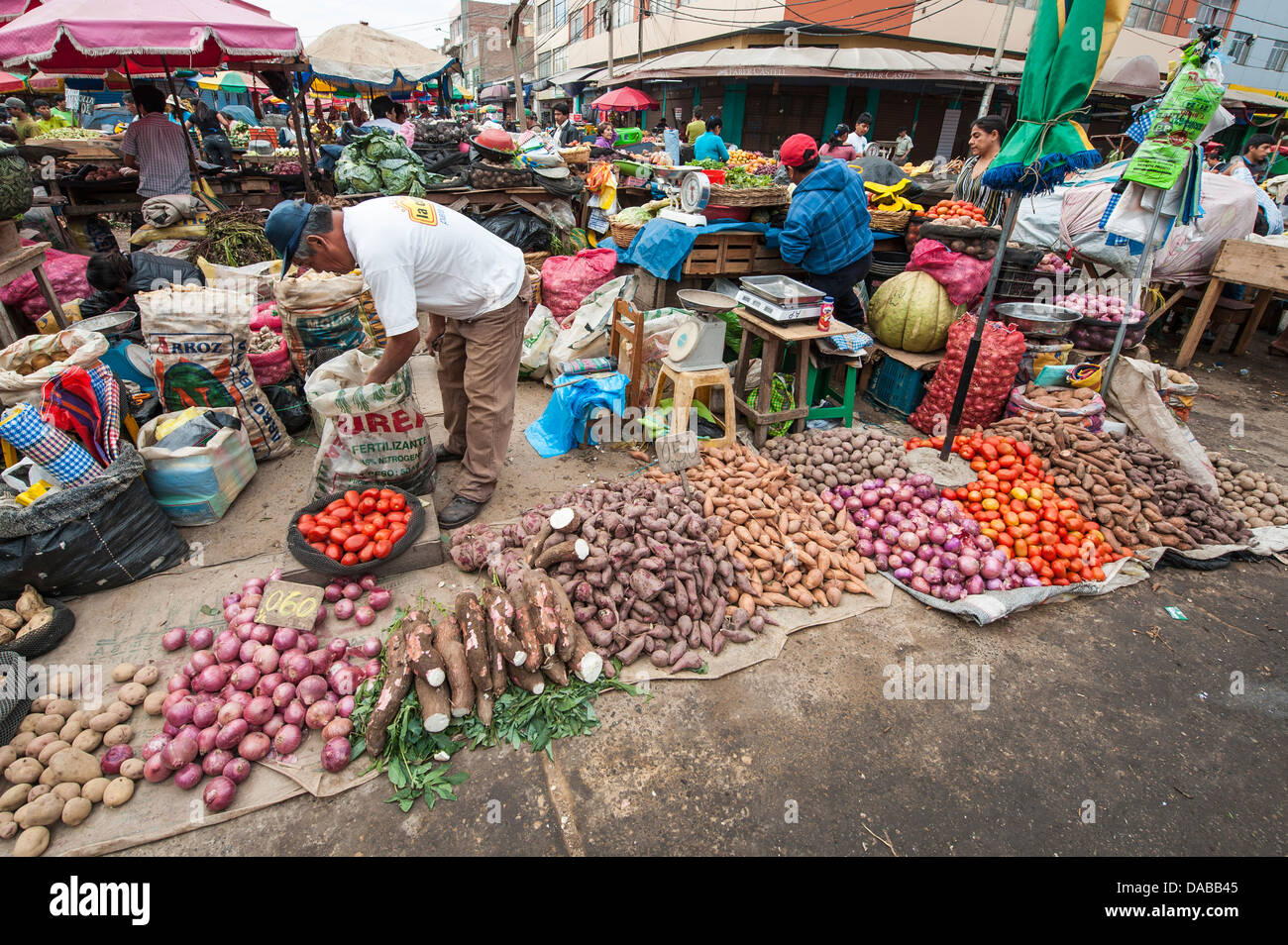 Vendeur de légumes Légumes stands boutiques shopping dans le marché local du marché central à Chiclayo, Pérou. Banque D'Images