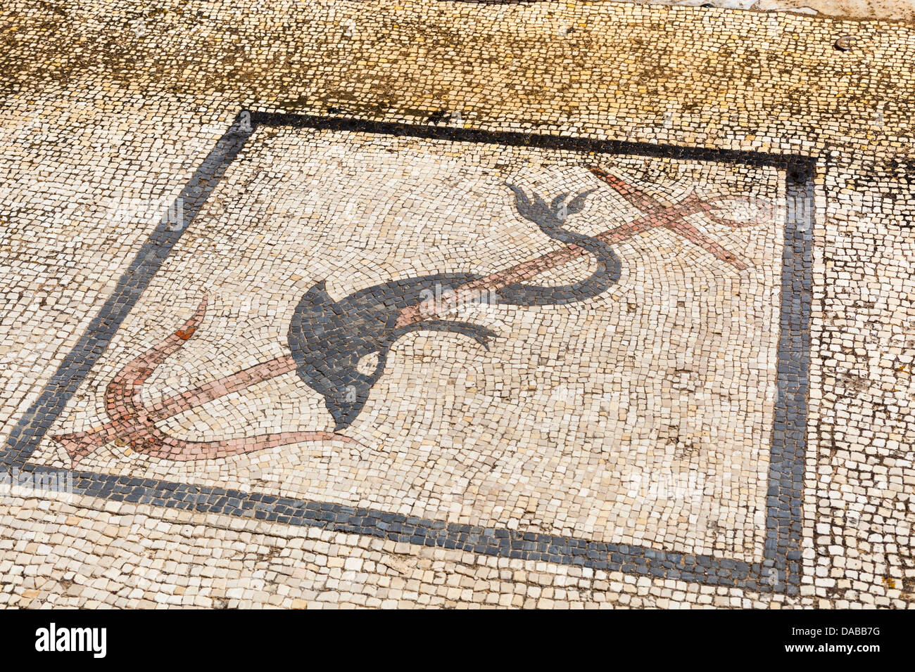 Mosaïque sur Dolphin étage dans maison du Trident, Site archéologique de Delos, Delos, près de Mykonos, Grèce Banque D'Images