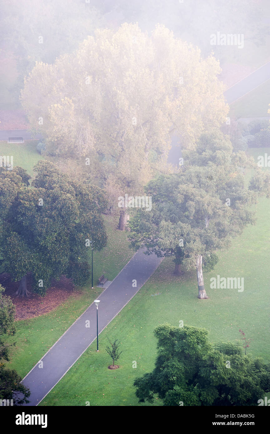 Regardant vers le bas sur un misty Flagstaff Gardens dans le centre-ville de Melbourne en Australie. Banque D'Images