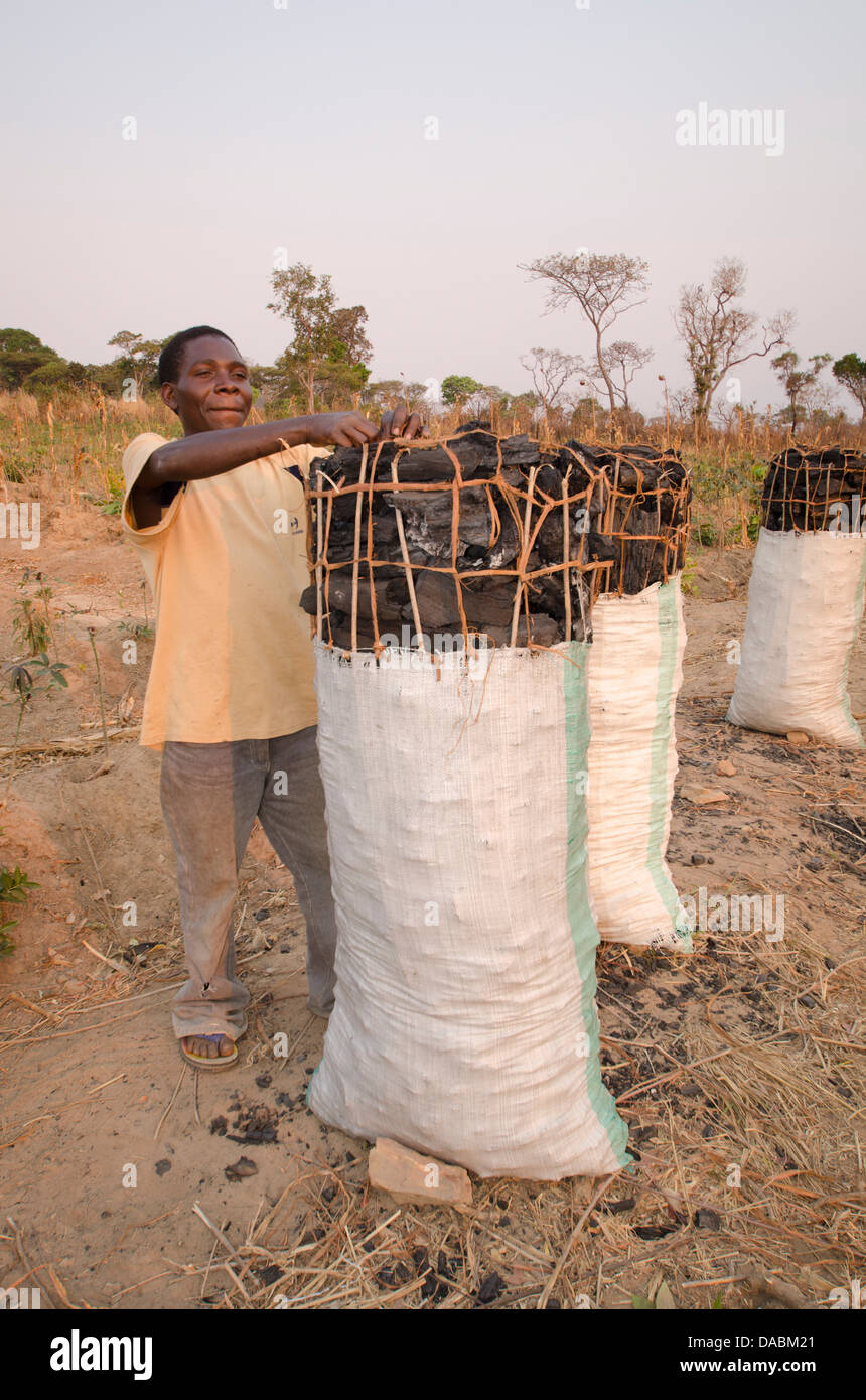 Charbonniers vendre fusain sur le côté de la route, la Zambie, l'Afrique Banque D'Images