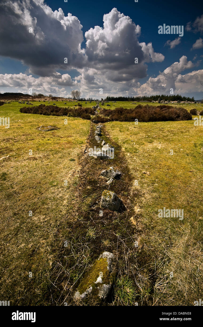 L'Âge du Bronze Beaghmore Stone Circles, les alignements et les cairns dans le comté de Tyrone, Irlande du Nord, Royaume-Uni Banque D'Images