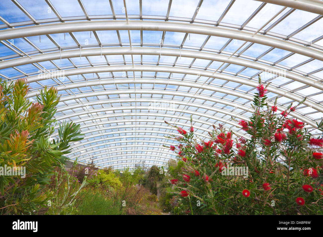 Jardin Botanique National du Pays de Galles, Llanarthne, Carmarthenshire, Pays de Galles, Royaume-Uni, Europe Banque D'Images