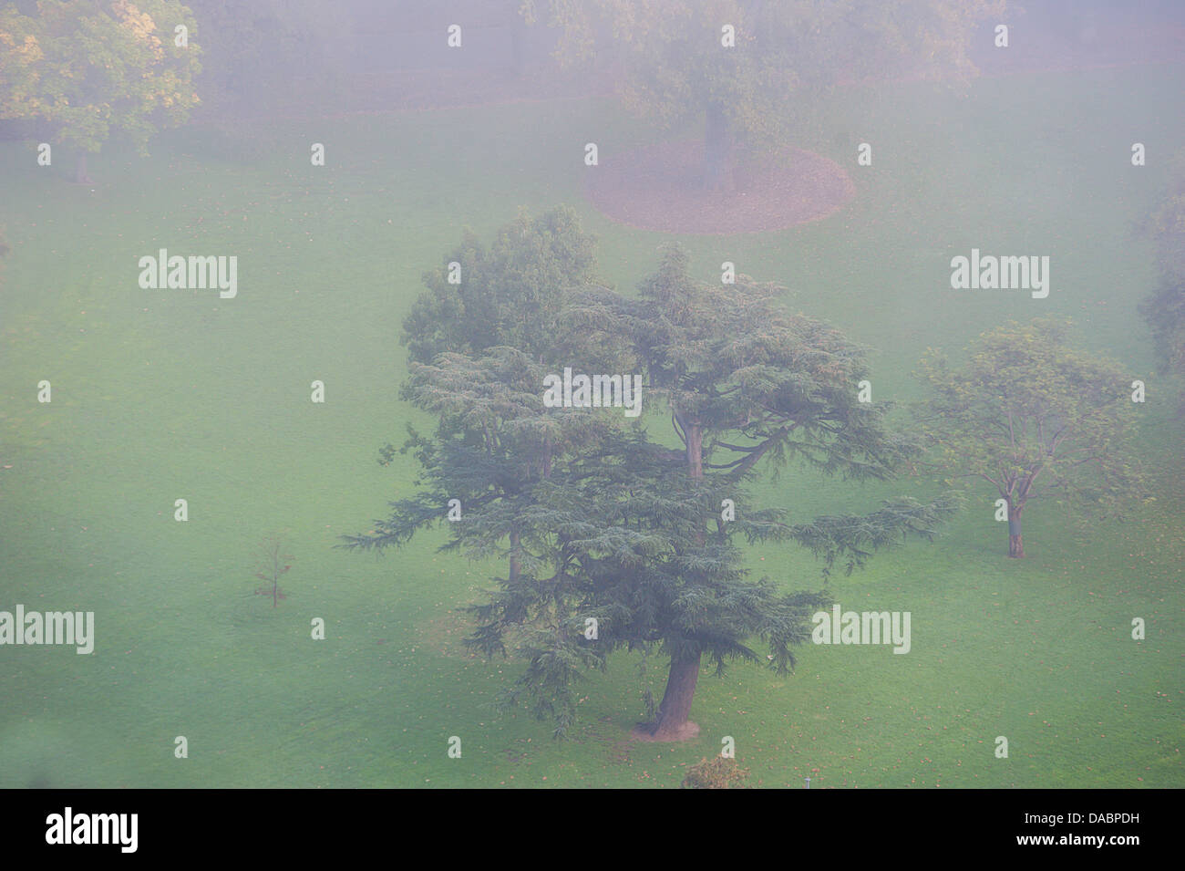 Regardant vers le bas sur un misty Flagstaff Gardens dans le centre-ville de Melbourne en Australie. Banque D'Images